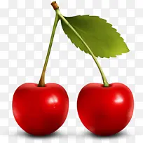 高清PNG水果-红樱桃