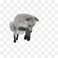 狐狸 雪狐 银狐 白色的狐