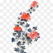 中国风菊花装饰元素