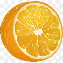 切面橙子手绘效果图