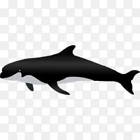 黑色漂亮的鲸鱼