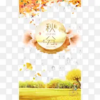 秋天秋分落叶飘叶水滴二十四节气