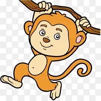 吊树枝的小猴子