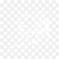 虎年老虎素材