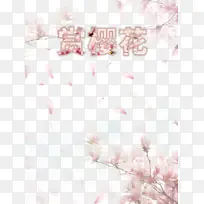 赏樱花艺术字玉兰花元素图