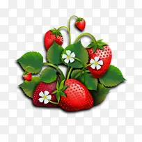 高清,水果,草莓,蓝莓,新鲜,悬浮
