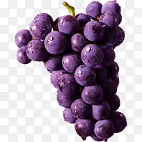葡萄 卡通葡萄 水果