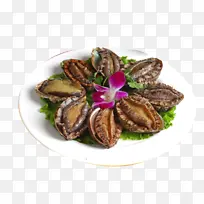 鲍鱼海鲜新鲜