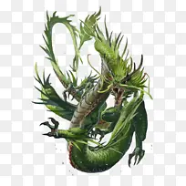 神兽，龙，山海经