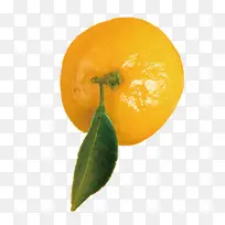 橘子桔子橙子