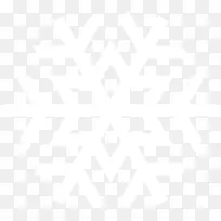 一片雪花白色纯色