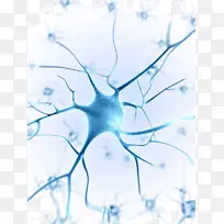 蓝色神经系统