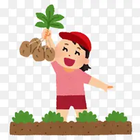小女孩在田间拔土豆