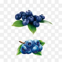 富含花青素的抗氧化食物蓝莓