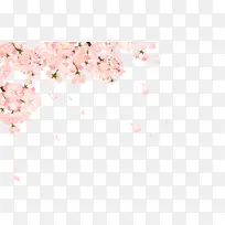 粉色桃花枝杈落花