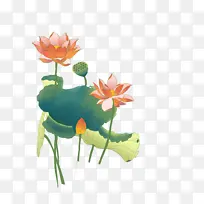 荷花手绘中国风夏天
