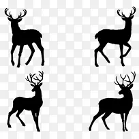 各种动作鹿的剪影