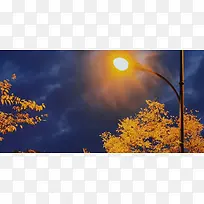 夜晚深蓝天空下的路灯