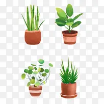 手绘盆栽绿植插画装饰素材