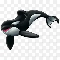 卡通海洋动物虎鲸高清图片