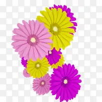 五颜六色的鲜花