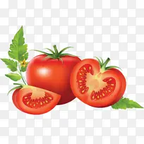 矢量番茄西红柿