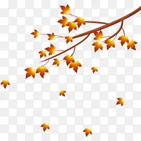 秋天手绘树叶枫叶