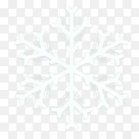 2021冬季雪花