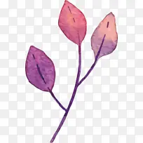 手绘紫色单片叶子