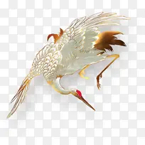 金色仙鹤免抠图
