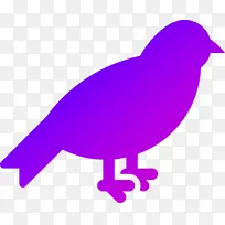 蓝紫色渐变小鸟矢量放大方便1