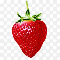 鲜红草莓水果