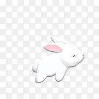 中秋节小白兔