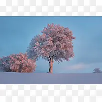 雪景 雪山 雪地 白色