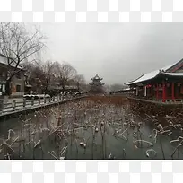 大明湖雪景