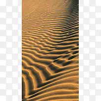 沙漠纹理背景黄色沙子风景