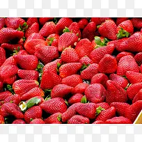 红彤彤的大草莓