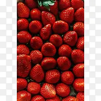 新鲜的一堆草莓