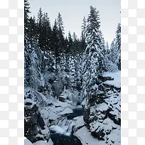 雪地森林背景摄影
