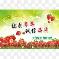 绿色纯天然草莓海报
