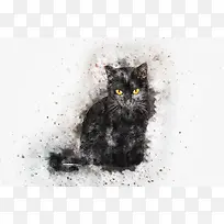 插画免扣凶猫咪
