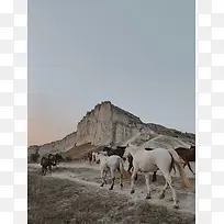 唯美的群马背景