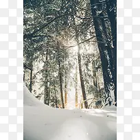冬天风景自然风光