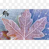 霜，霜降，深秋，字体，