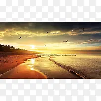 海滩鸟 - 海鸥 - 海洋 - 壁纸