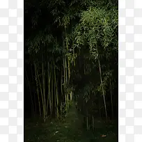 竹林深色背景