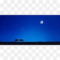 月下骆驼意境背景