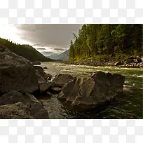 河，溪，石头，森林，岩石，景观