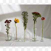 插在花瓶里的几朵菊花