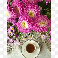 盛开的粉色的菊花